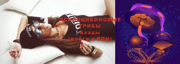 спиды Яранск