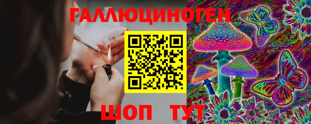 Солнечногорск  Псилоцибиновые грибы Cubensis  Галлюциногенные грибы Psilocybe  Вход с VPN 
